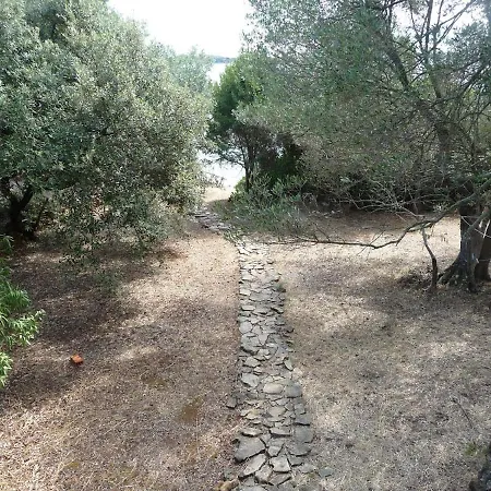 Holiday home Secluded Fisherman's Zman, Dugi Otok - 19000 Zman